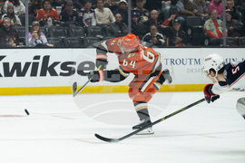 Blue Jackets Ducks Hockey