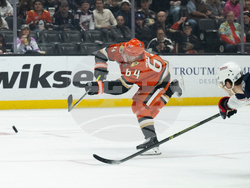 Blue Jackets Ducks Hockey