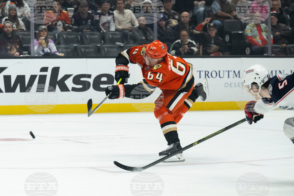 Blue Jackets Ducks Hockey