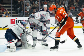 Blue Jackets Ducks Hockey