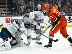 Blue Jackets Ducks Hockey