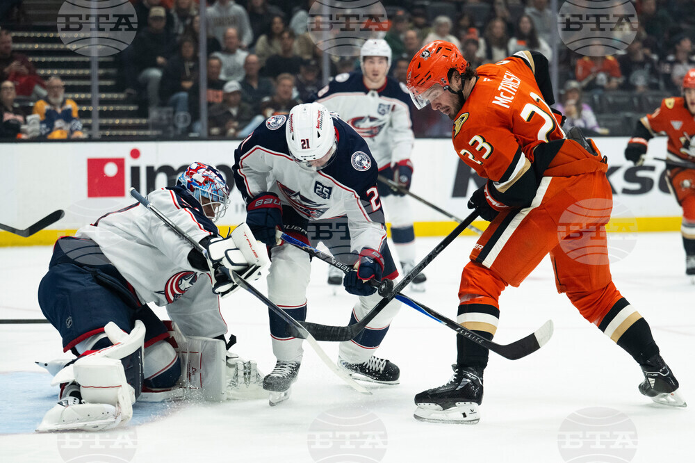 Blue Jackets Ducks Hockey