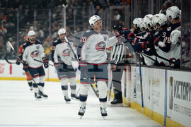 Blue Jackets Ducks Hockey
