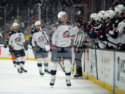 Blue Jackets Ducks Hockey