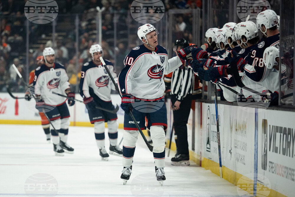 Blue Jackets Ducks Hockey