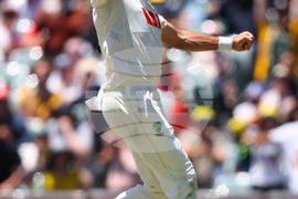 Australia England Cricket