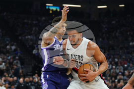 Trail Blazers Kings Basketball
