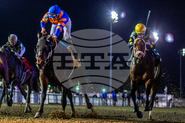 Fair Grounds Horse Racing