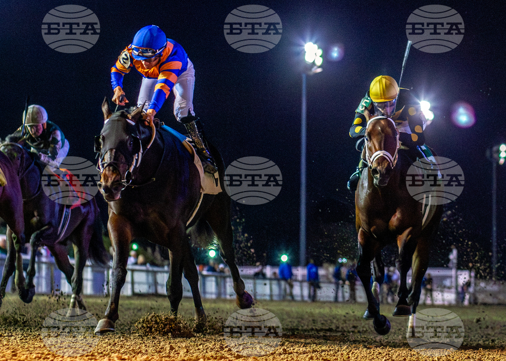 Fair Grounds Horse Racing