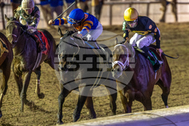 Fair Grounds Horse Racing