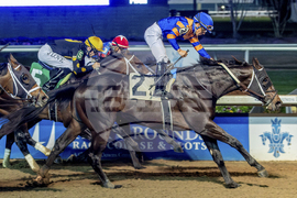 Fair Grounds Horse Racing