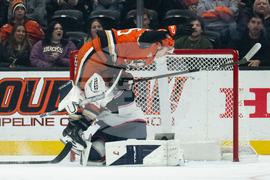 Blue Jackets Ducks Hockey