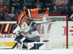 Blue Jackets Ducks Hockey