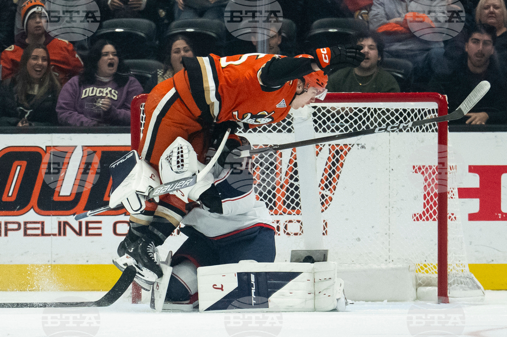 Blue Jackets Ducks Hockey