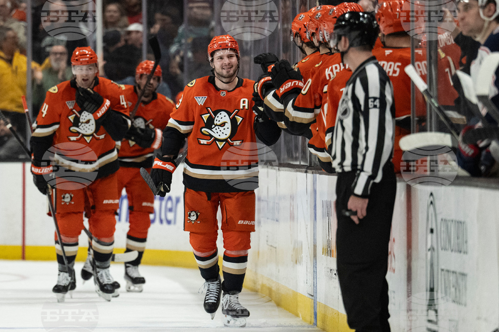 Blue Jackets Ducks Hockey