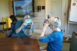 Virtual Reality-Senior Moments