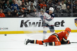 Blue Jackets Ducks Hockey