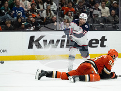 Blue Jackets Ducks Hockey