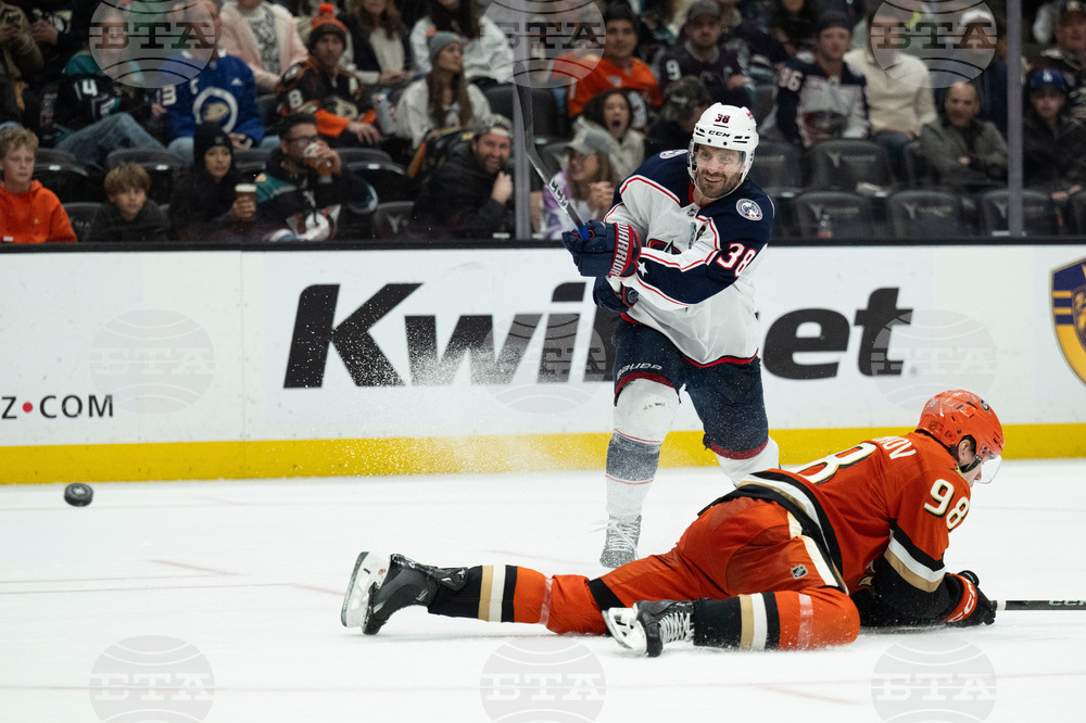 Blue Jackets Ducks Hockey