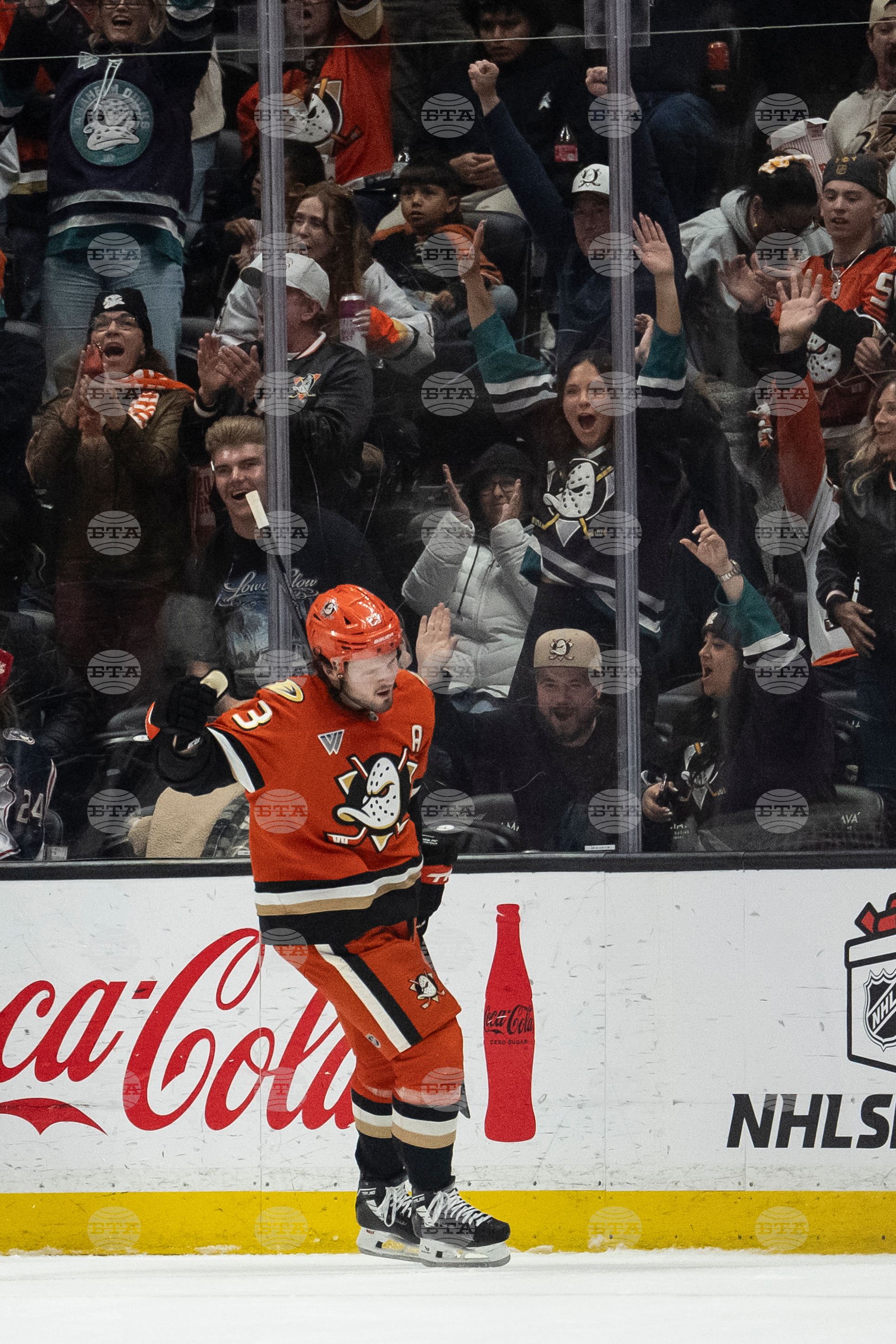 Blue Jackets Ducks Hockey