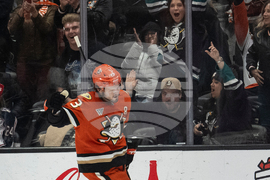 Blue Jackets Ducks Hockey