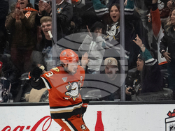 Blue Jackets Ducks Hockey