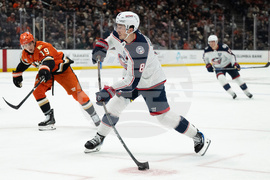 Blue Jackets Ducks Hockey
