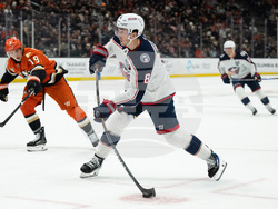 Blue Jackets Ducks Hockey