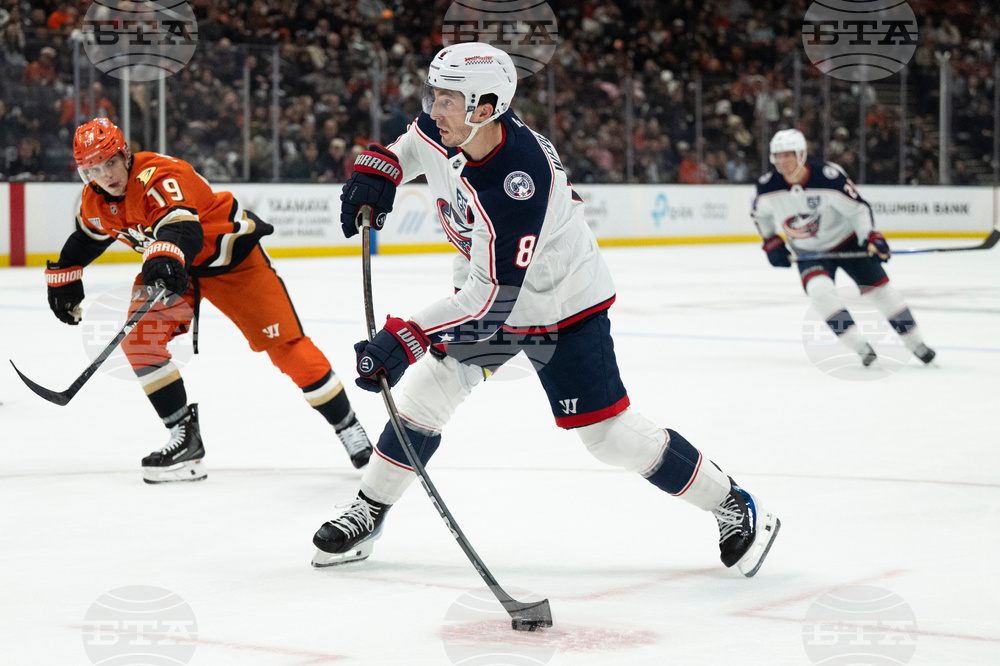 Blue Jackets Ducks Hockey