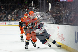 Blue Jackets Ducks Hockey