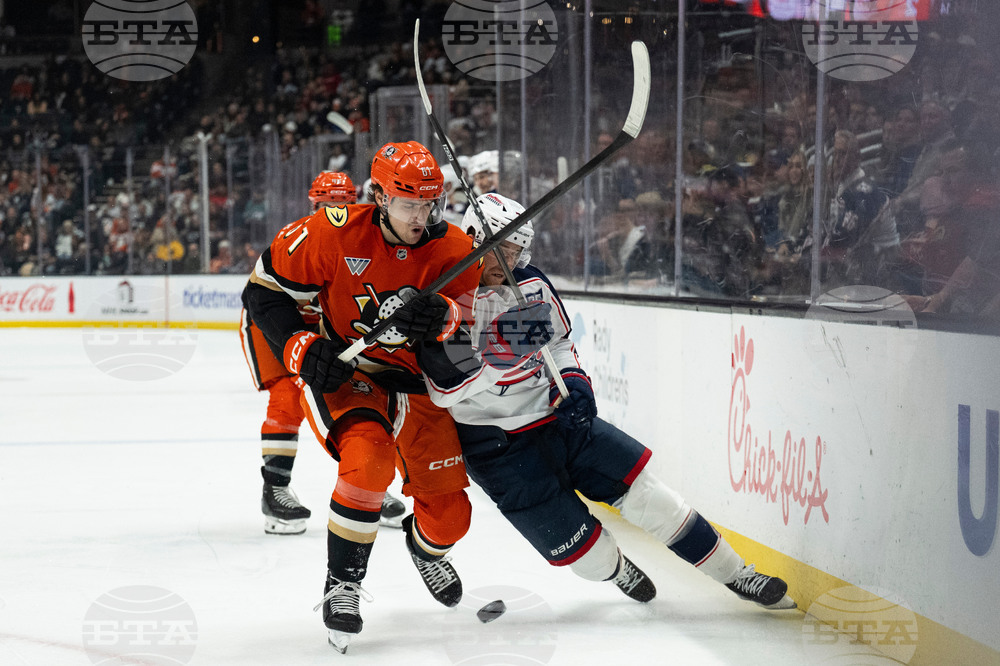 Blue Jackets Ducks Hockey