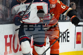 Blue Jackets Ducks Hockey