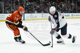 Blue Jackets Ducks Hockey