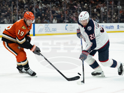 Blue Jackets Ducks Hockey