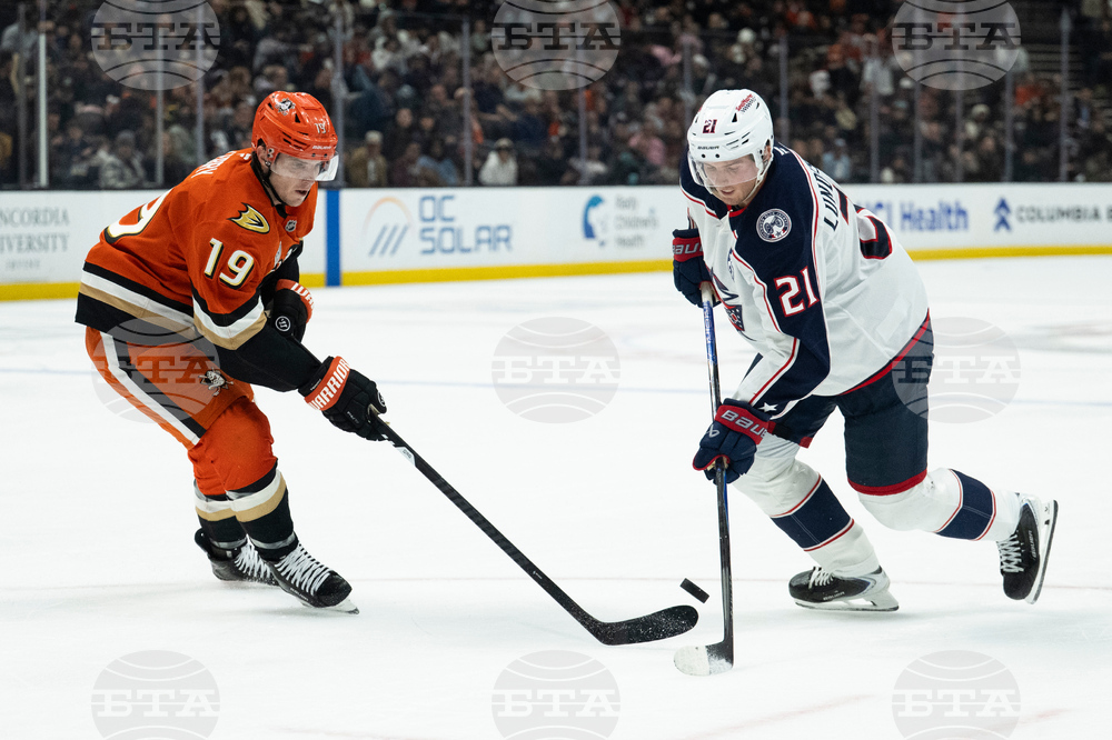 Blue Jackets Ducks Hockey