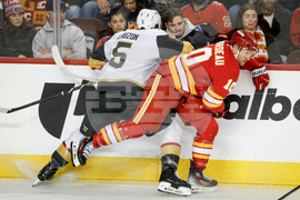 Golden Knights Flames Hockey