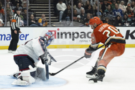 Blue Jackets Ducks Hockey