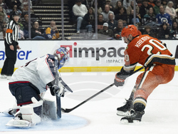 Blue Jackets Ducks Hockey