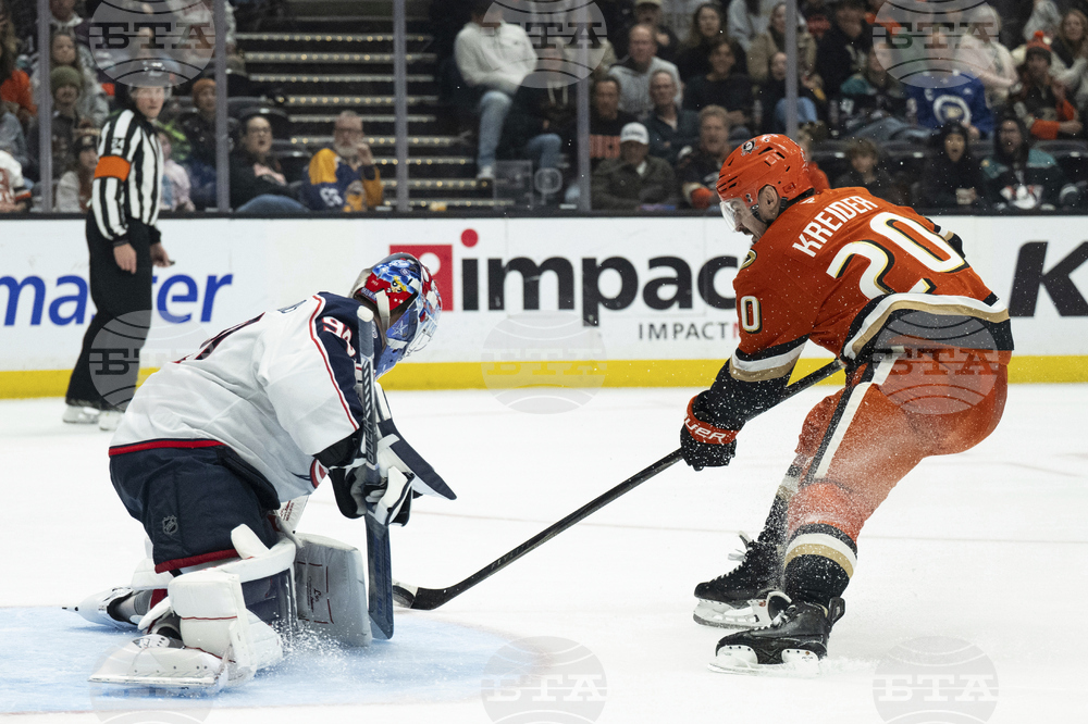 Blue Jackets Ducks Hockey