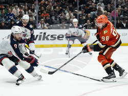 Blue Jackets Ducks Hockey