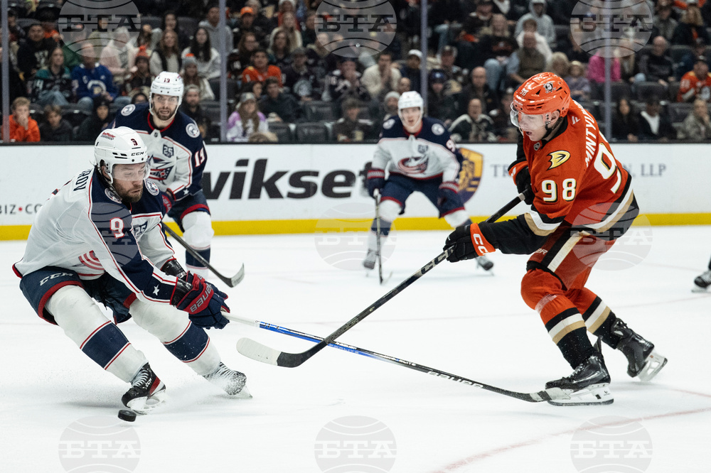 Blue Jackets Ducks Hockey