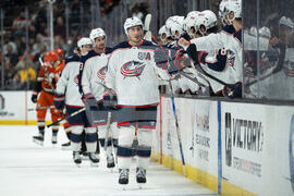 Blue Jackets Ducks Hockey
