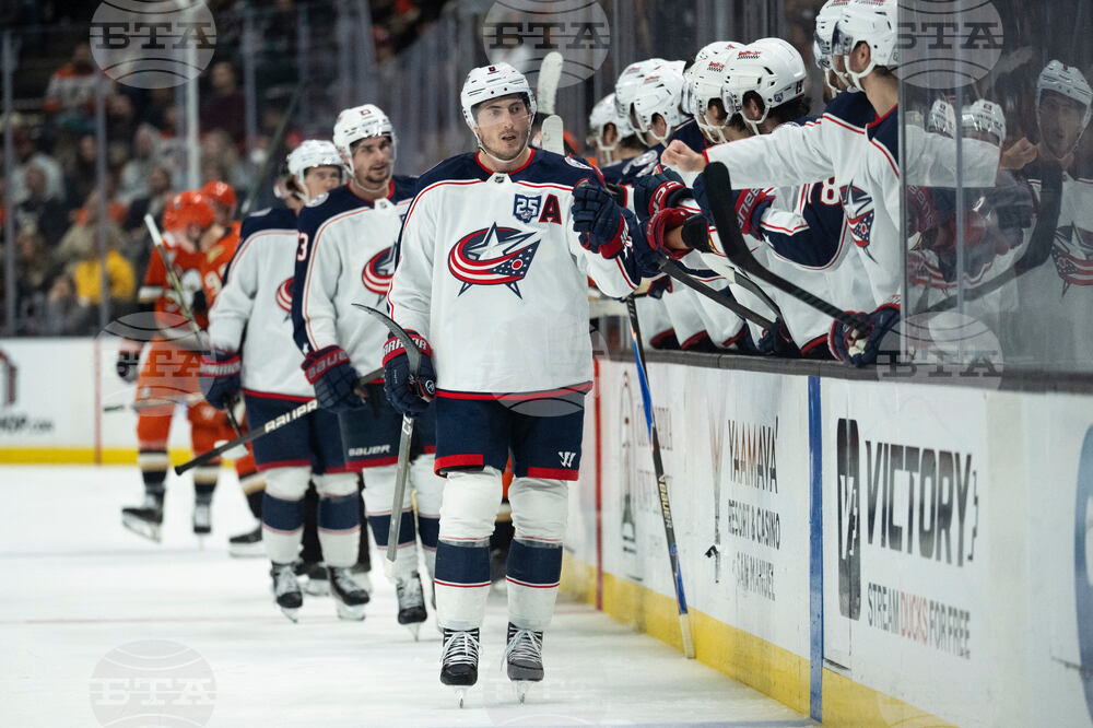 Blue Jackets Ducks Hockey