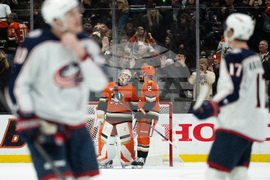 Blue Jackets Ducks Hockey