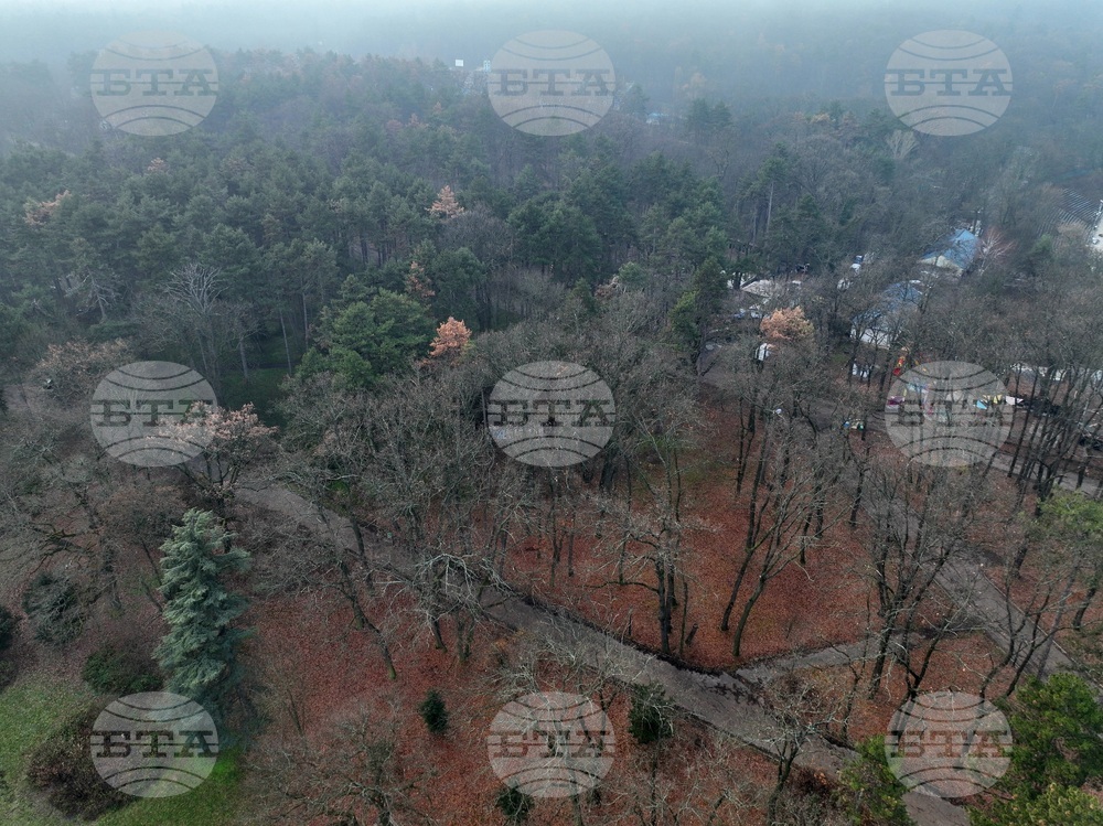 Столица - облачност и мъгла