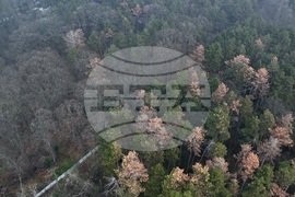 Столица - облачност и мъгла