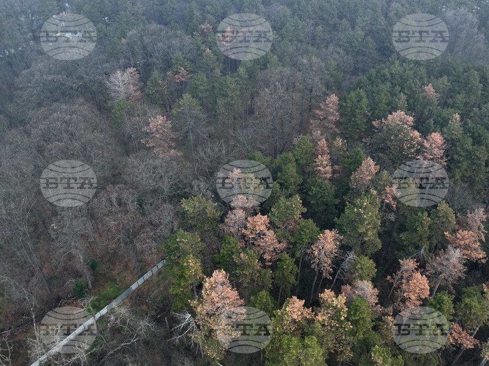 Столица - облачност и мъгла