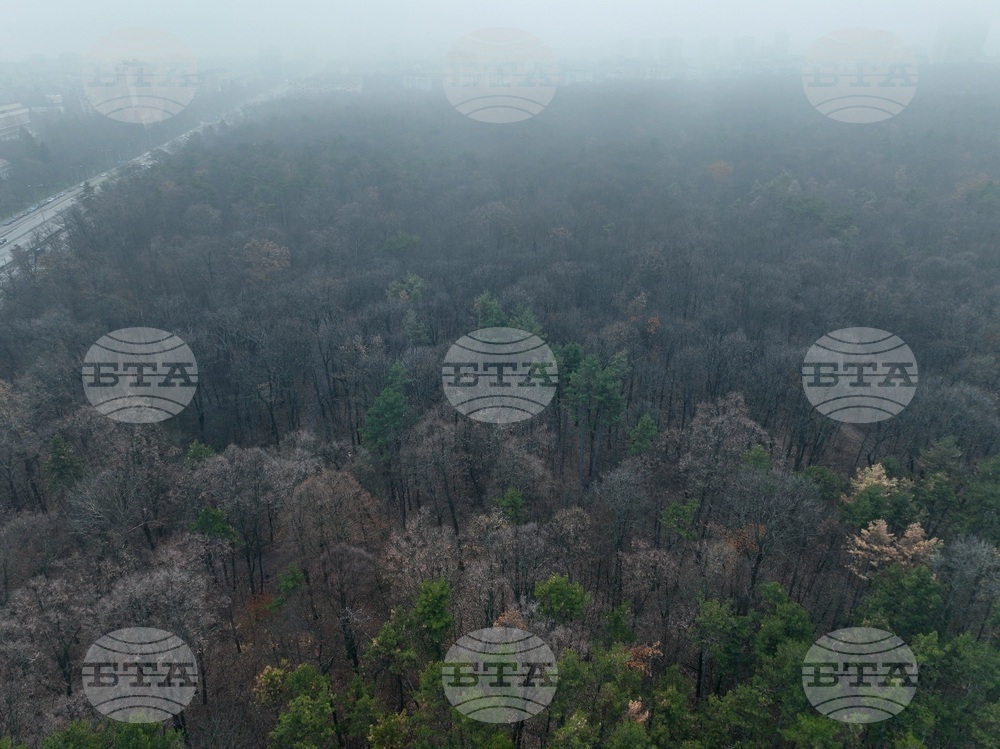 Столица - облачност и мъгла