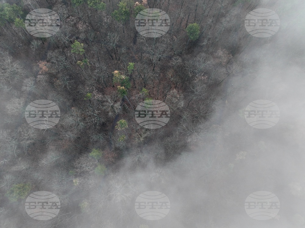 Столица - облачност и мъгла