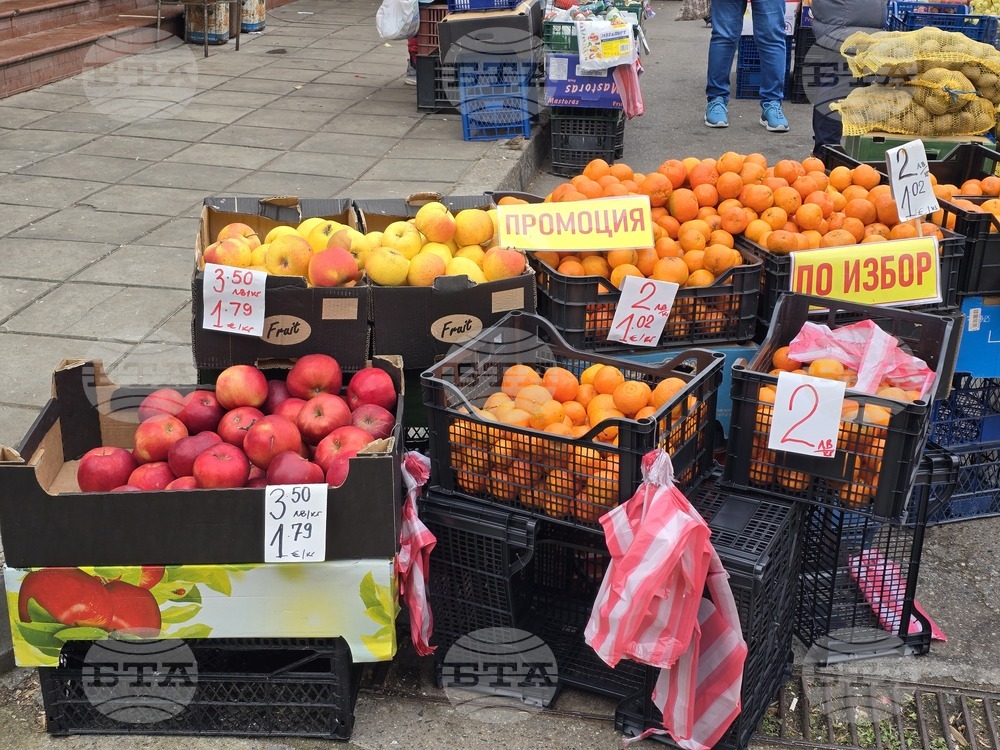 Основни продукти за коледно-новогодишните празници ще струват между 80 и 120 лева на семейство от четирима души в Сливен 